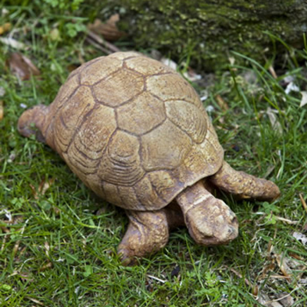 A-071 Turtle
