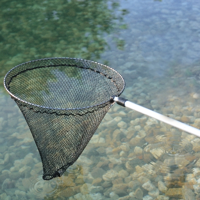 Pond Maintenance and Seasonal