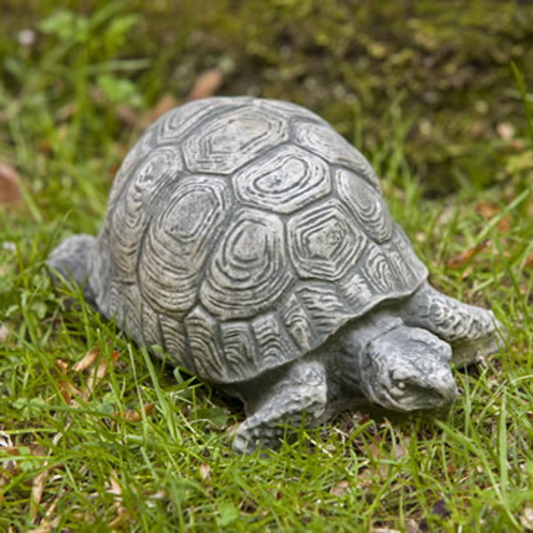 A-093 Small Turtle