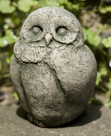 A-346 Baby Barn Owl