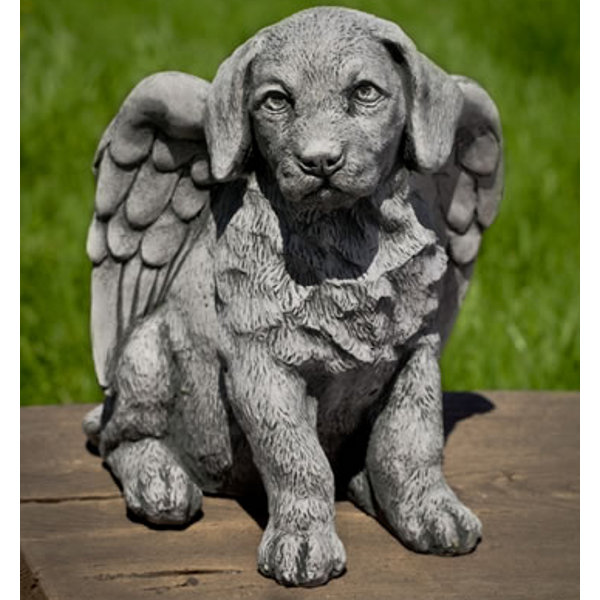 A-491 Angel Puppy