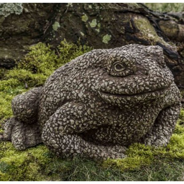 A-595 Forest Toad