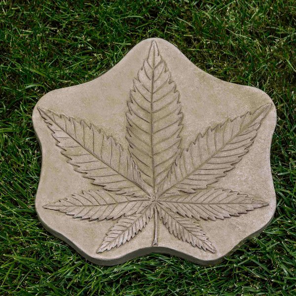 E-129 Cannabis Stepping Stone