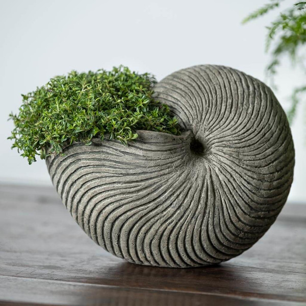 P_939 Ammonite Planter