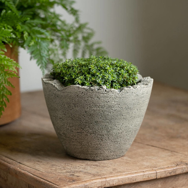 P-943 Broken Egg Planter-Mini