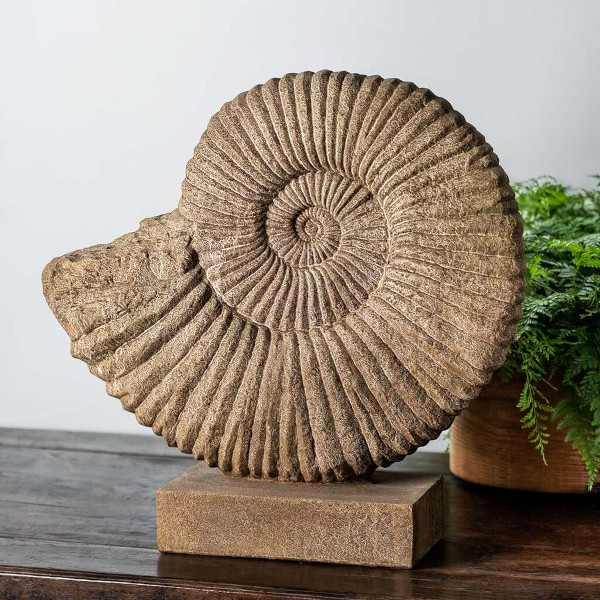 S-528 Ammonite-Medium